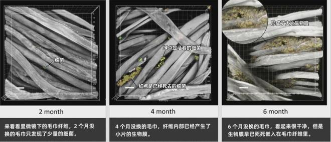 架的同面料毛巾！我们低价搞到了冰球突破豪华版手机版某东来刚上(图3)