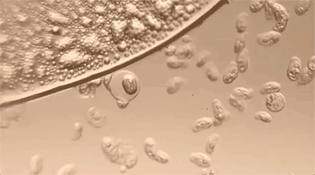 架的同面料毛巾！我们低价搞到了冰球突破豪华版手机版某东来刚上(图6)