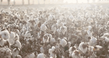 架的同面料毛巾！我们低价搞到了冰球突破豪华版手机版某东来刚上(图7)