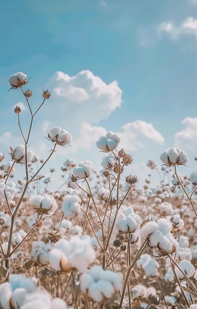 架的同面料毛巾！我们低价搞到了冰球突破豪华版手机版某东来刚上(图14)